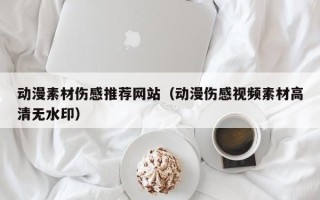 锡林郭勒盟动漫素材伤感推荐网站（动漫伤感视频素材高清无水印）